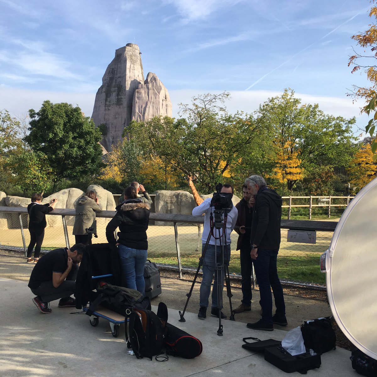 Coulisses du tournage des plateaux pour le mois dédié à la protection des espèces menacées sur <a href="/Ushuaia_TV/">Ushuaïa TV</a>. Sous l'œil de <a href="/AdelinelaGirafe/">Adeline la Girafe</a>