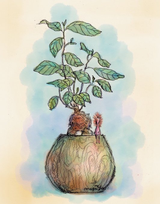 ガジュマルのtwitterイラスト検索結果