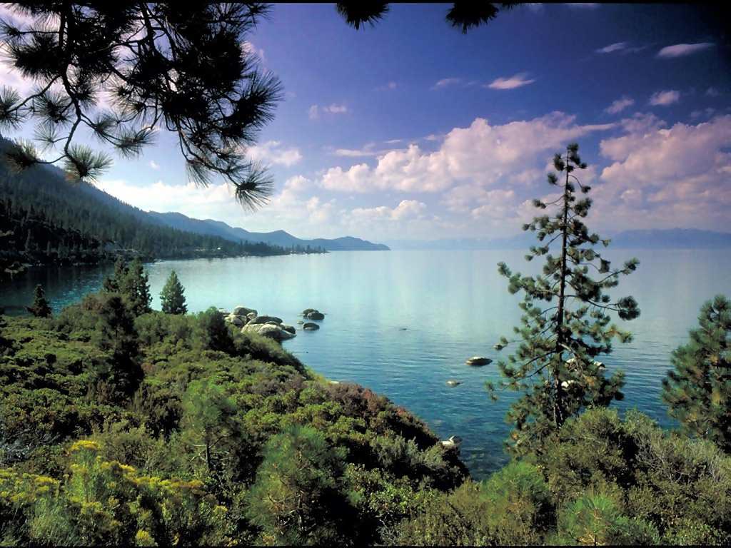 Hoy es un buen día para disfrutar de la naturaleza, recuerda que es patrimonio de todos, no la dañes. 

#062