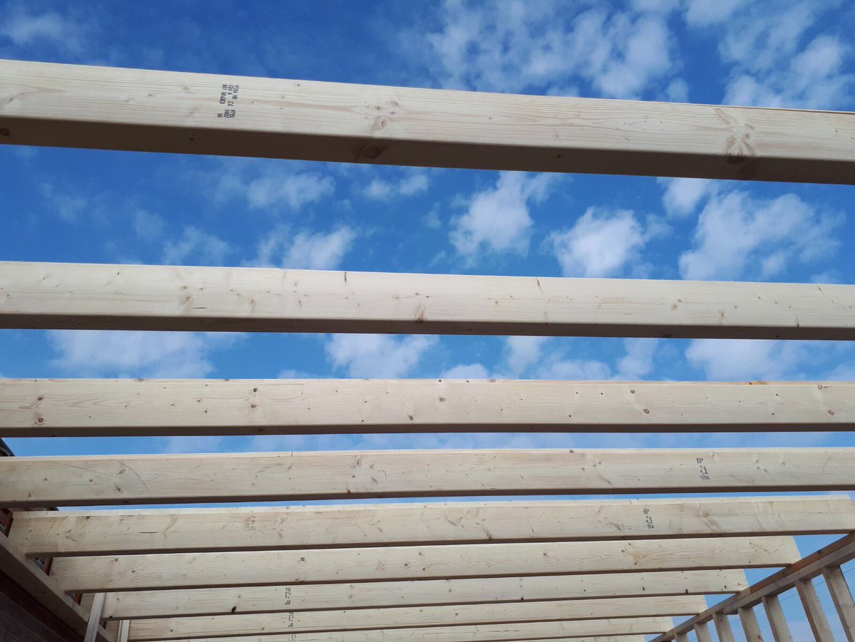 HandigeMeeuwen tweet picture