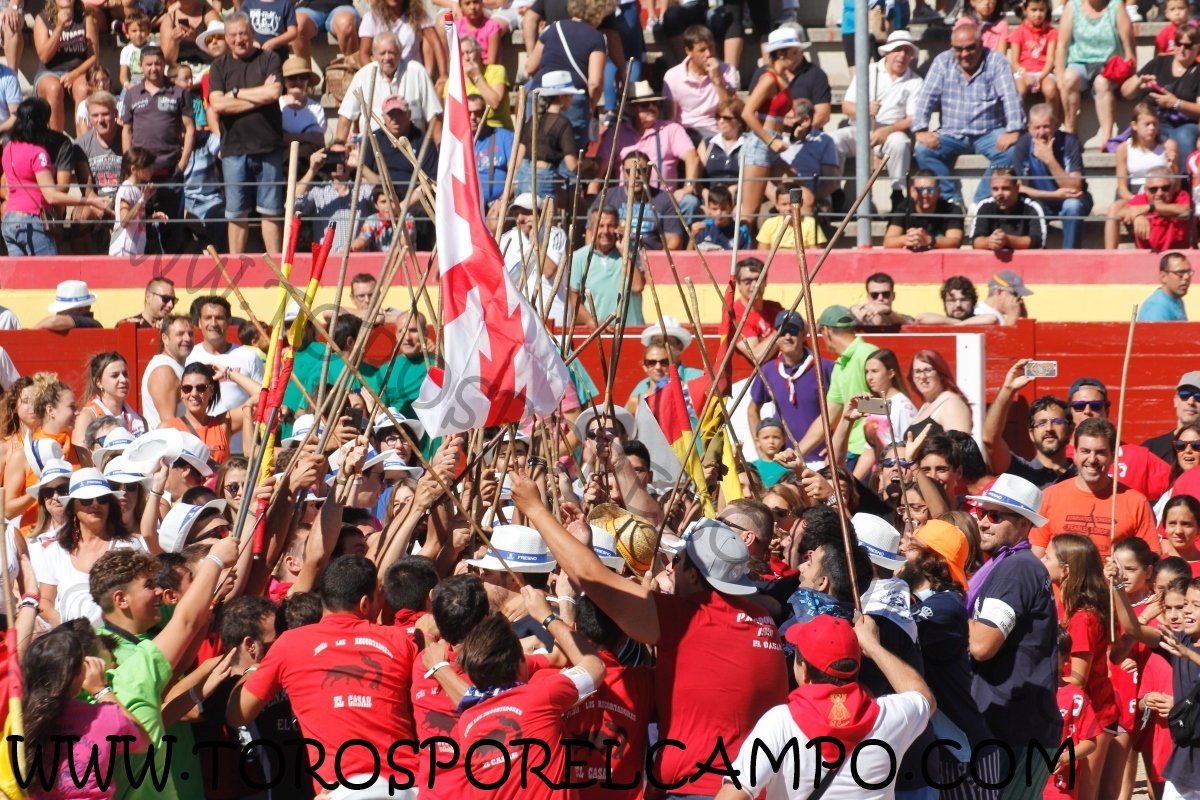 TOROSXELCAMPO's tweet photo. El Casar (Gu) Encierro por las calles con 2 toros. Lunes 04 de Septiembre de 2017 Ya disponible las fotografías en: https://t.co/aVslrnKRSC https://t.co/qEhHBHLZhP