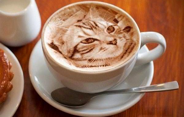 TreasuryMog's tweet photo. And could someone recreate this for me? #InternationalCoffeeDay https://t.co/kKmoj27lM8