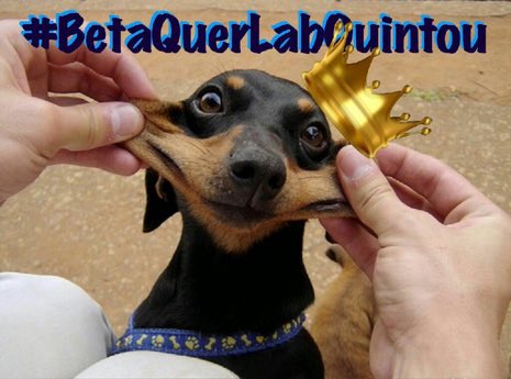 Lucas Souza Silva (@lucasso12744047) on Twitter photo 