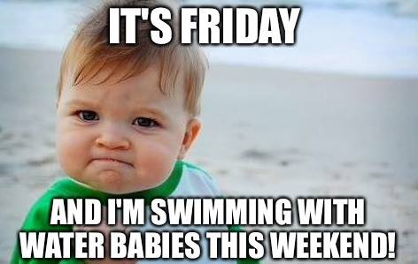 WBNorfolk's tweet photo. Hands up if you have lesson this weekend!! We cant wait to see you x https://t.co/kUYMiTZcfq