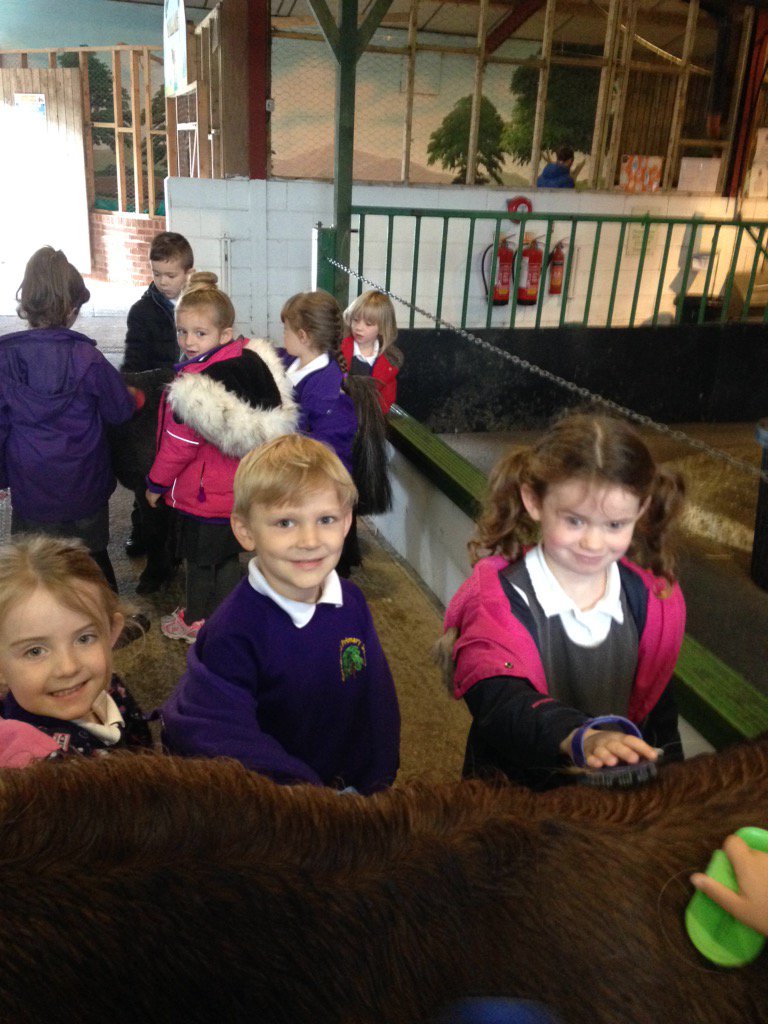 MrsMGarswood's tweet photo. Pony grooming time. @FarmerTedsFarm @GarswoodPrimary #newexperiences #superquestions https://t.co/SE5oZgEGKY