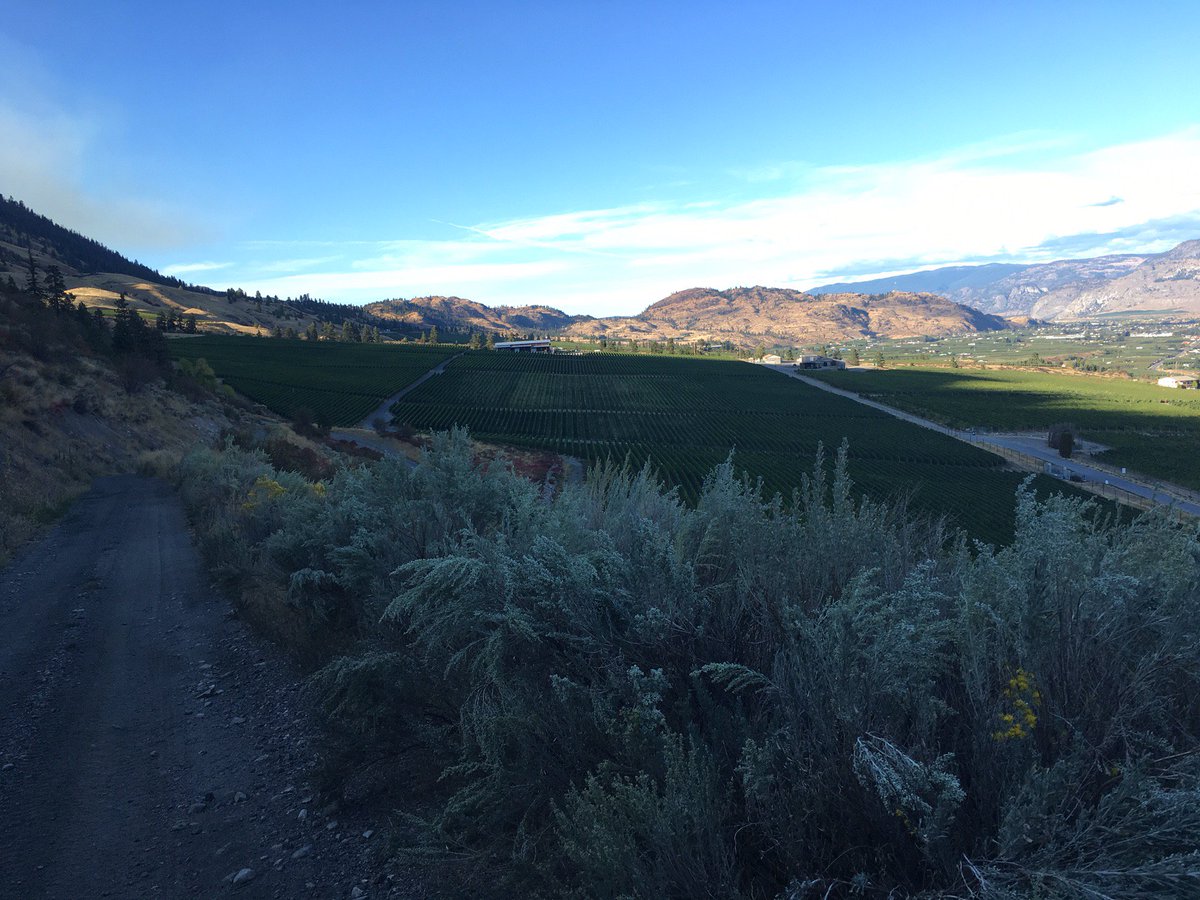 #OkanaganValley (BC #Canada ) is on its way for a fantastic #vintage ! Whites &amp; Reds have phenomenal aromatic profiles <a href="/Process2Wine_NA/">Process2Wine Software</a>