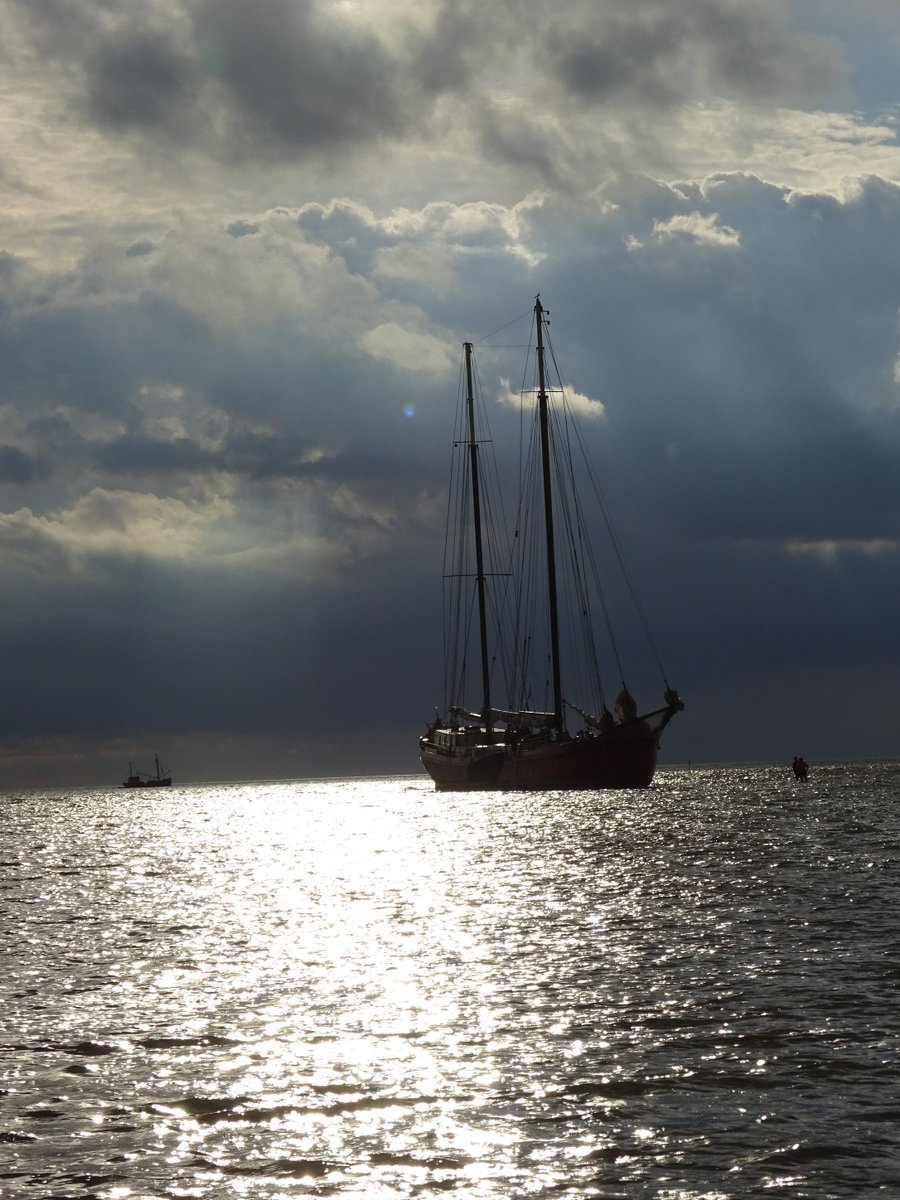 "Thank you for a very interesting and beautiful graduation trip on the Mare Marieke." #RederijVooruit #zeilen #zeiltocht #segeln #friesland