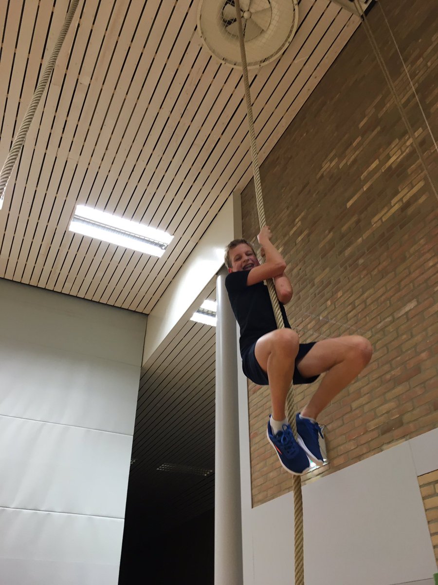 OBSDeSlinger's tweet photo. Aapjes in groep 8! https://t.co/vNclGbxz4k