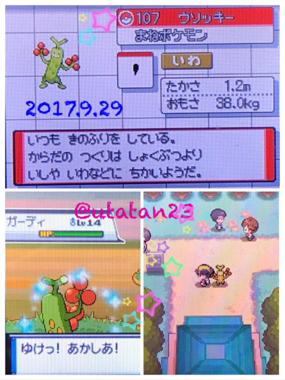 琥月 リセット団幹部 Hgにて固定リセット 色違いウソッキー せっかく色旅してるので ということで粘ること二日目 でちゃいました W ただ序盤でレベルがギリギリだったので苦戦笑 入って良かったー これですすめる 固定リセット T