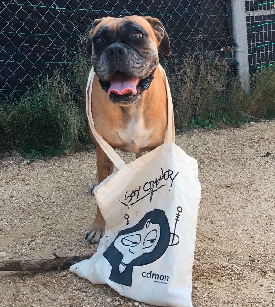 cdmon's tweet photo. ¡#Frik ya es #cdmoner! Prueba de ello es la bonita bolsa que luce hoy. Y tu mascota... ¿Tiene ya su dominio .dog? https://t.co/synJJtCmBh :) https://t.co/7zG2cy0gXd