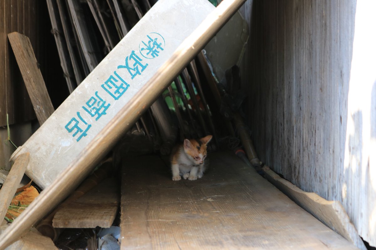 台風18号は9月17日に四国を横断しながら、甚大な被害を残しました