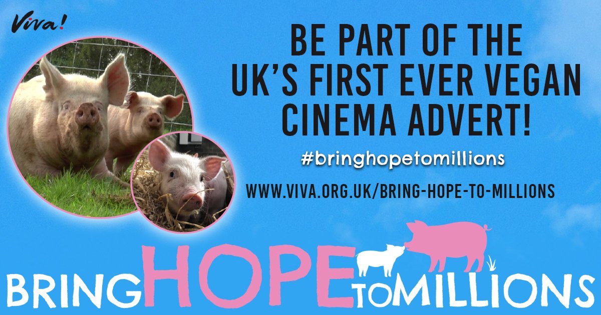 vivacampaigns's tweet photo. We need you! We're fundraising for the UK's first #vegan cinema ad to over 2 million people #bringhopetomillions https://t.co/PbHvp34oIo https://t.co/azh4f8VMAw