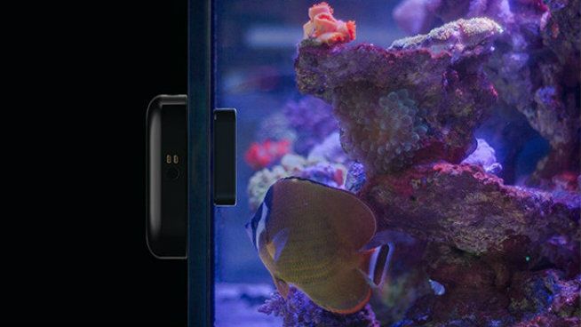 alphr's tweet photo. Our Kickstarter of the week is Roomba meets Go Pro... for fish: @MoaiInc  https://t.co/J7T43DyTnO https://t.co/Swwk5ONwI1
