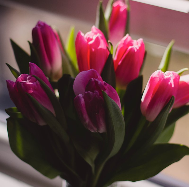 HeathrowVIP's tweet photo. We say goodbye to the sunshine as Autumn takeover... #flowers #floral #prettypinks #petals #sunshine #seasons https://t.co/HdEmifTapP