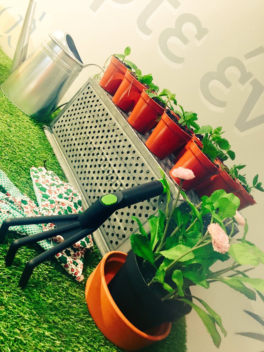 TweetnEatDublin's tweet photo. @TwitterDublin @EMEAHQ Plant Pot Dessert #GreenerTwitter #TheAviary https://t.co/oHa2QNHSRt