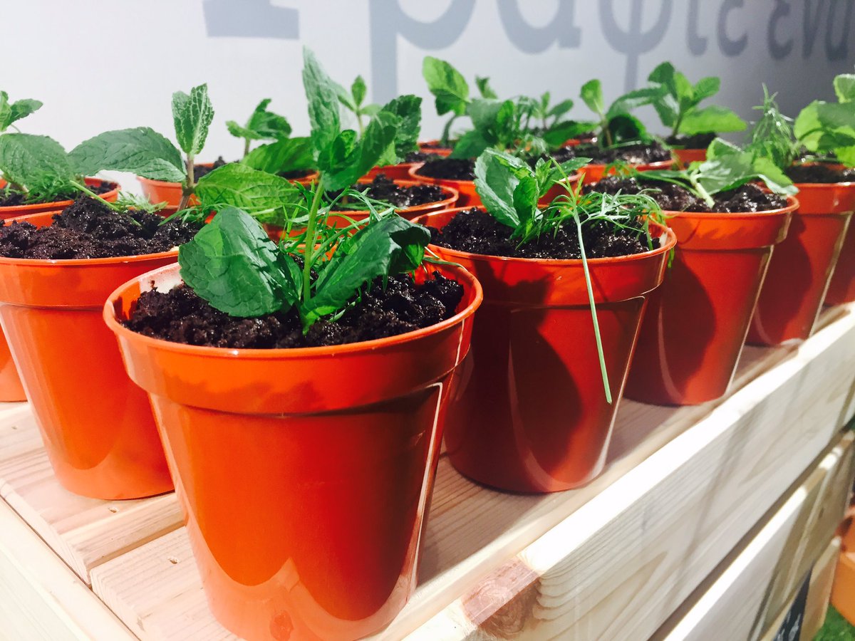 TweetnEatDublin's tweet photo. @TwitterDublin @EMEAHQ Plant Pot Dessert #GreenerTwitter #TheAviary https://t.co/oHa2QNHSRt