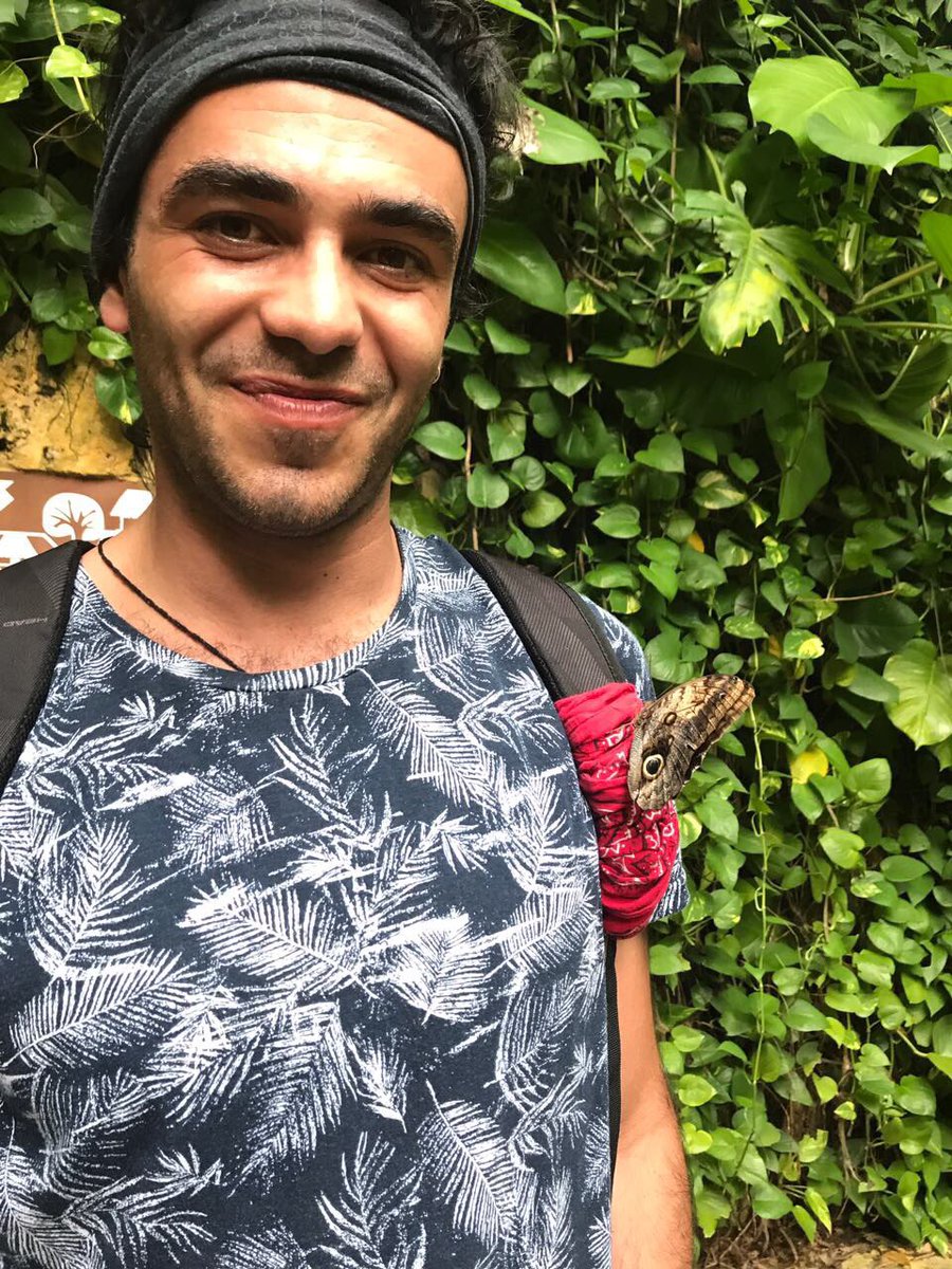 mataaguion's tweet photo. Jajajajaja felicidad máxima pq la mariposa apaño la foto #mexmex https://t.co/rrZTGUobmP