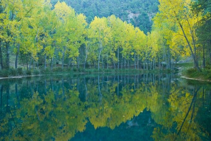 FincasFor's tweet image. ¿A que parece que el Parque Natural de los Calares del río Mundo no pertenece a Albacete y esta sacado de los pirineos?
¿Lo conocéis?