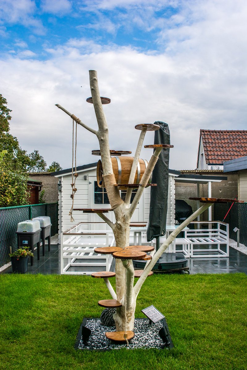 garden cat tree