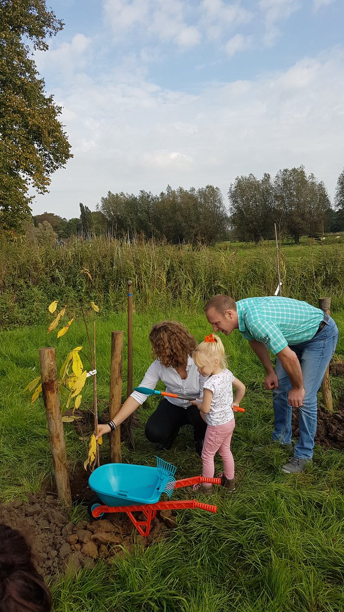 Kopers vanwanrooij.nl/utrecht-thuis-… planten twee roomappelbomen voor de eetbarewoonwijkrijnvliet.nl 
Het voedselbos groeit #Rijnvliet