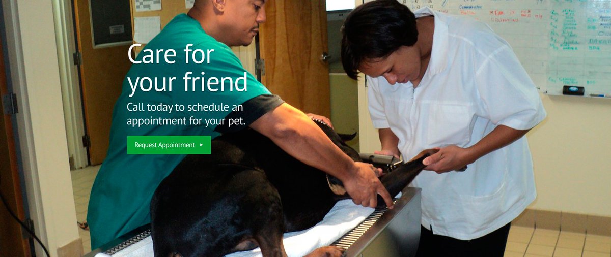 SCORE Success Story: Union City Vet. #SCOREsmallbiz bit.ly/2vAjCTo