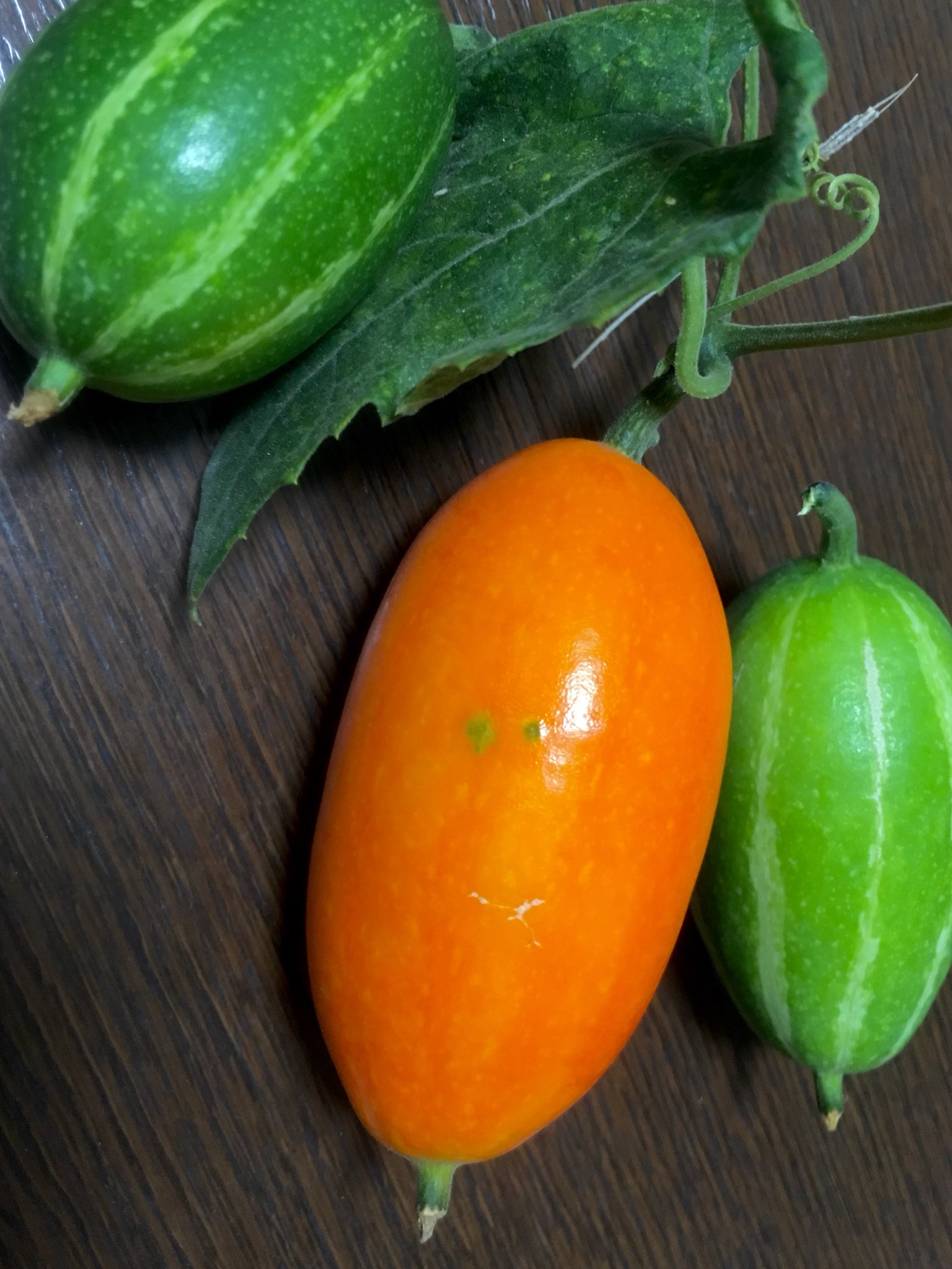 Inori カラスウリの実は緑 黄色 オレンジ 赤と変化します カラスウリの実で作った家は数日後違う色に塗り替えられていました T Co Ck9riyywli Twitter