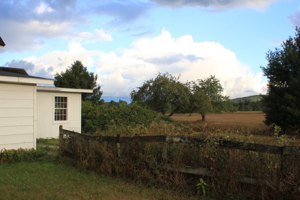 National Coffee Day livewellrockwell.com/2017/09/nation…