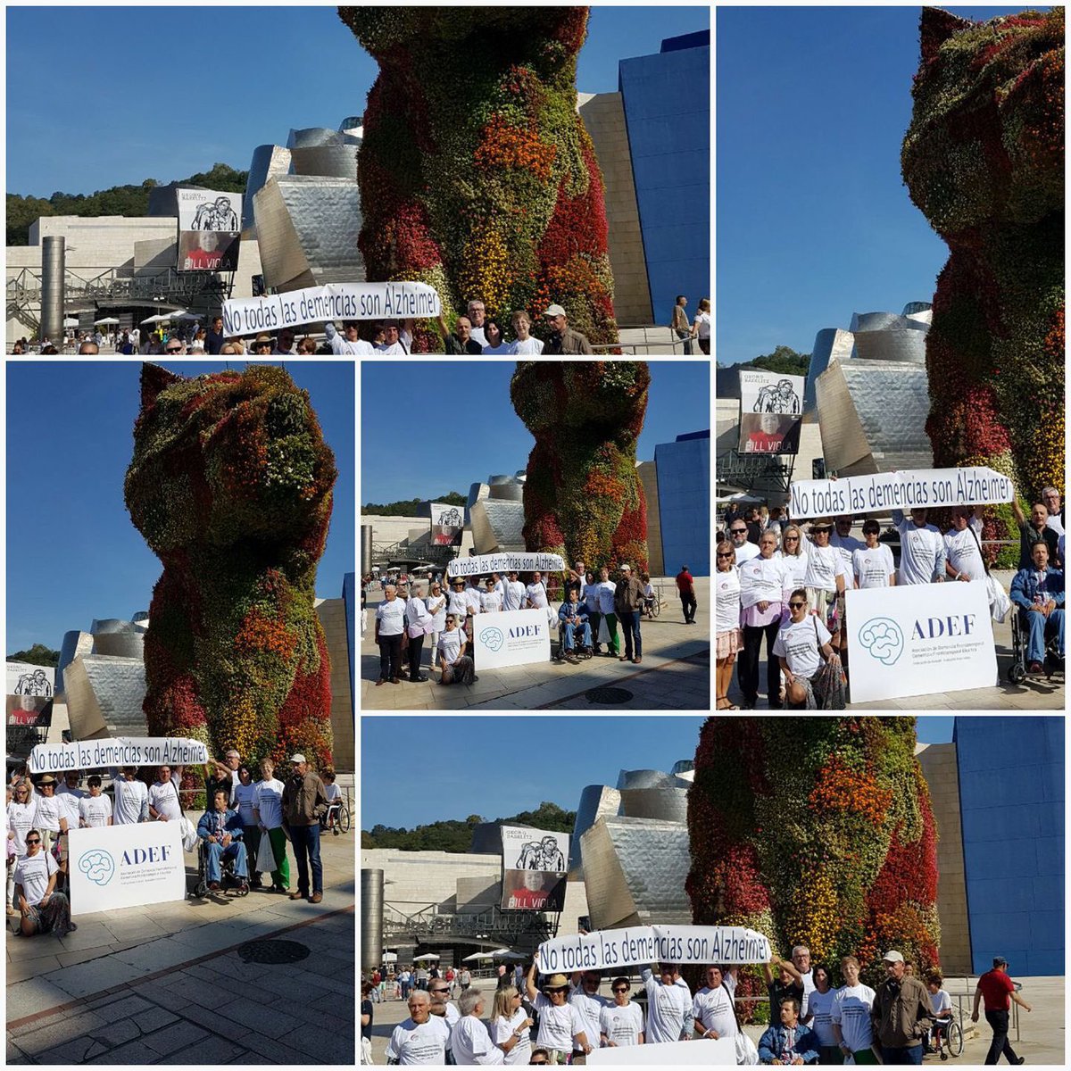 The Spanish association for FTD : ADEF, gathered families in Bilbao to share this message :

“Not all dementias are Alzheimer’s”

#endFTD