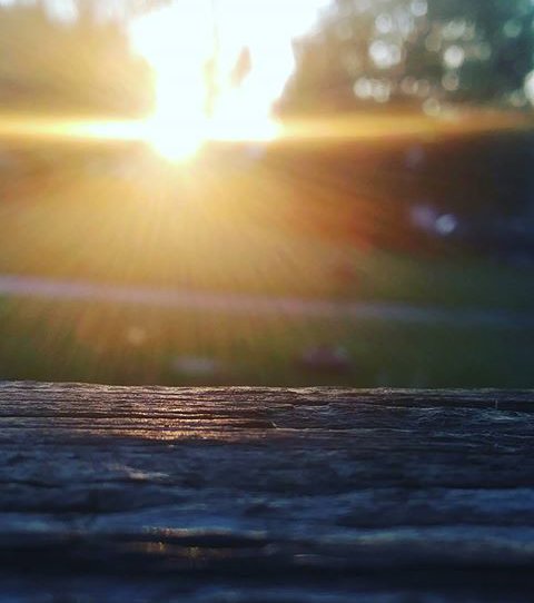 SJGR_Panda's tweet photo. I'll be posting more pictures eventually, Might turn this into my photography Page Thoughts? https://t.co/zNnTybTTqJ
