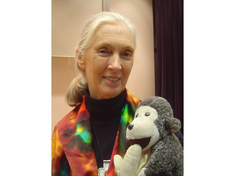 Jane Goodall in Saskatoon Saturday dlvr.it/PrJg4c https://t.co/KewndMEghh