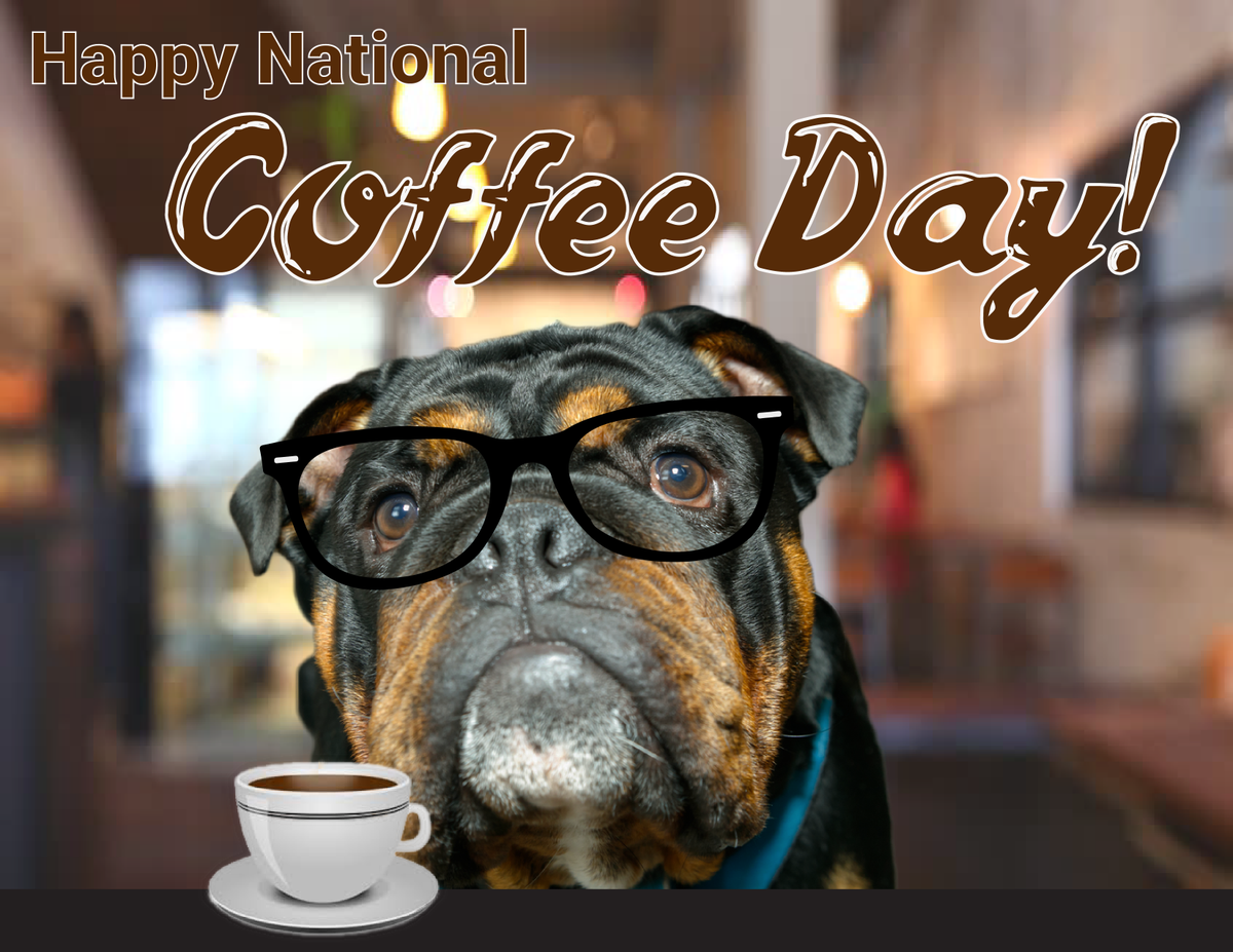 PMTitle's tweet photo. HAPPY NATIONAL COFFEE DAY! We hope your day is filled with delicious coffee ☕️ #NationalCoffeeDay #zekethebulldog #PMTitle https://t.co/tZmFGoPgMH