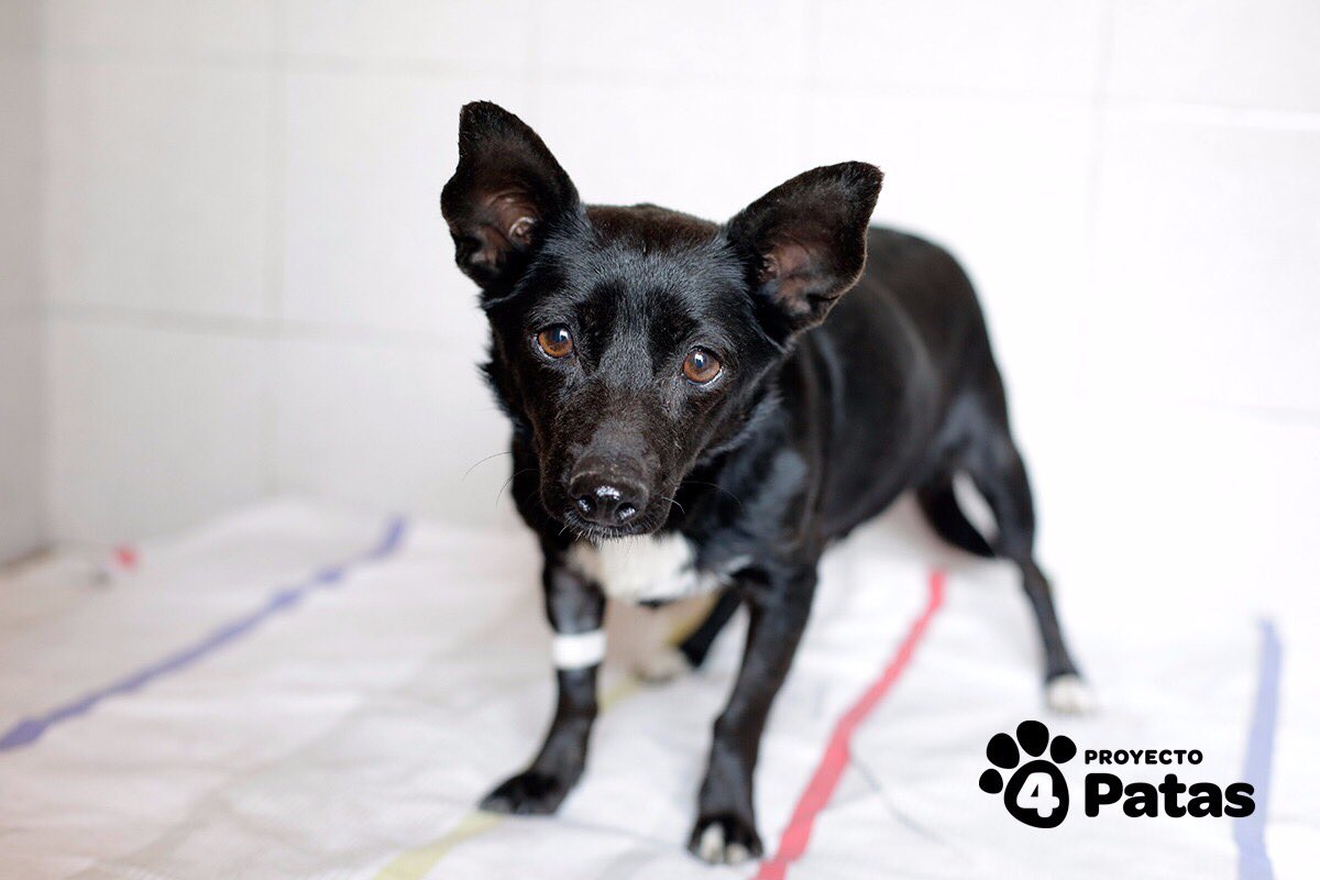 No puede ser tan linda! 🤤🤤🤤