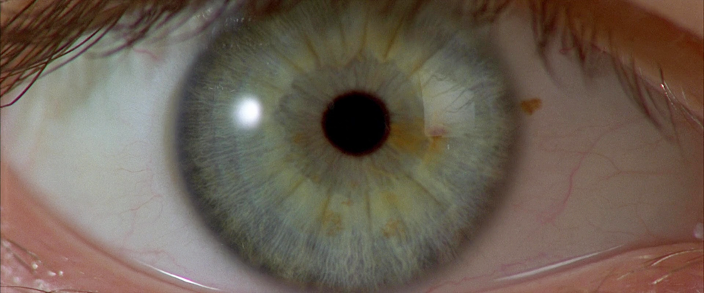 Comp Cam: Geometric tweet media