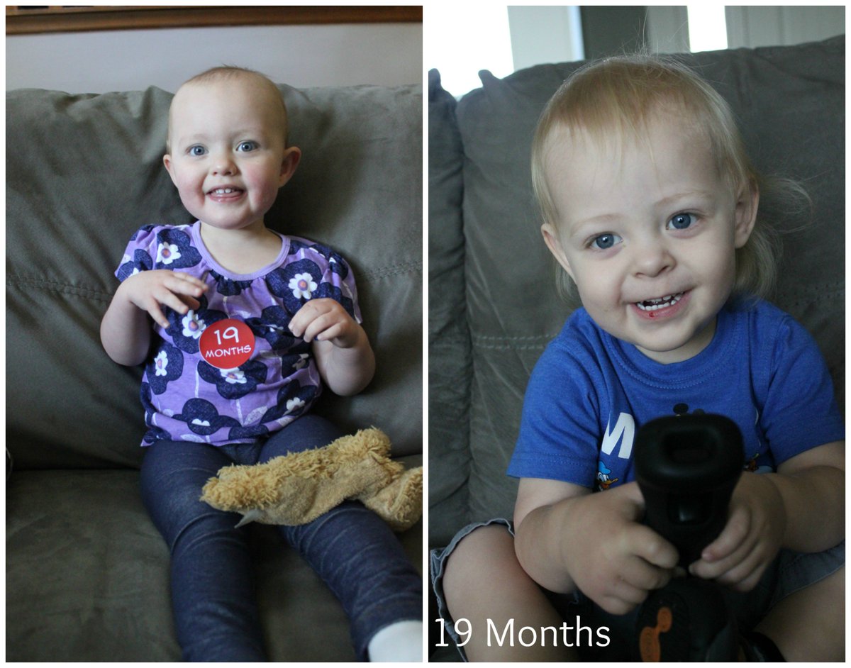 bevans86's tweet photo. One of them looks like the other. https://t.co/ikqZC1C19r #OBMB #blog #momlife #momblogger https://t.co/VC41VbjpX1