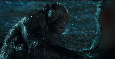 Take a risk for your friends..Rocket is also hero!😊 #warfortheplanet #apestogetherstrong #apes  <a href="/andyserkis/">Andy Serkis</a>