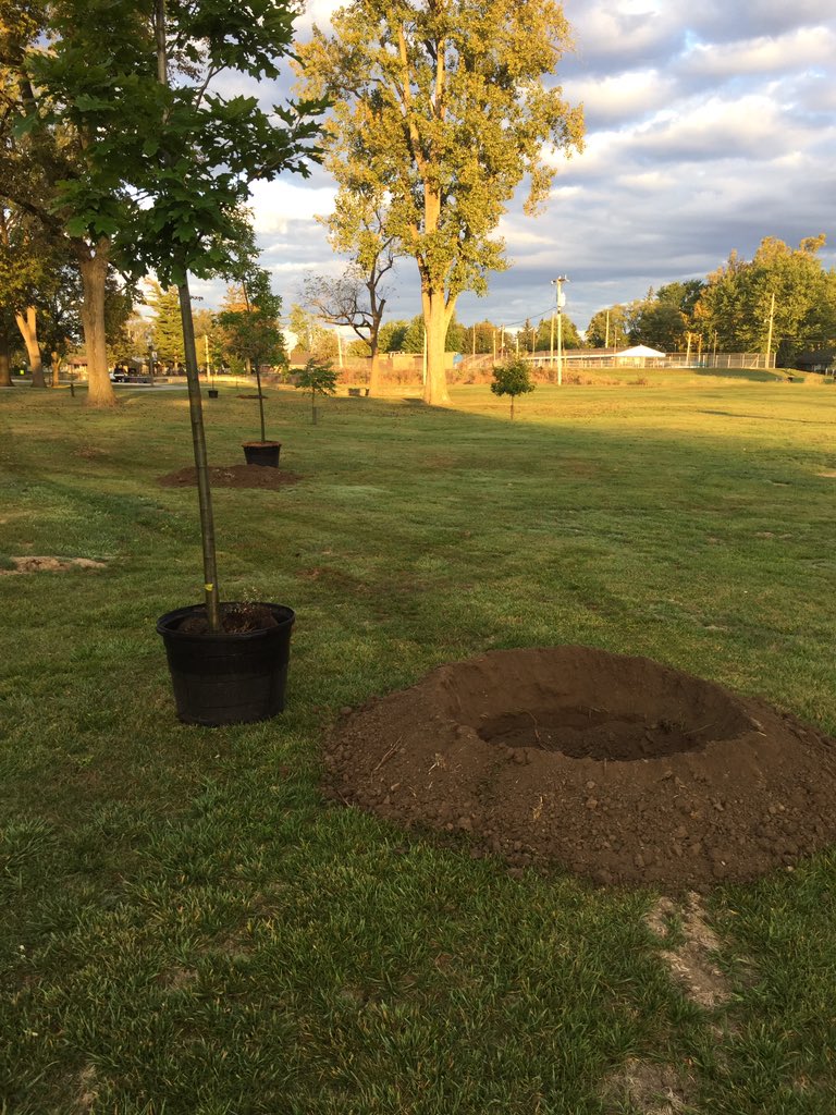 JMHertko's tweet image. Getting ready to plant trees @IUHealthTeam @IUHealthTipton #DaysofService