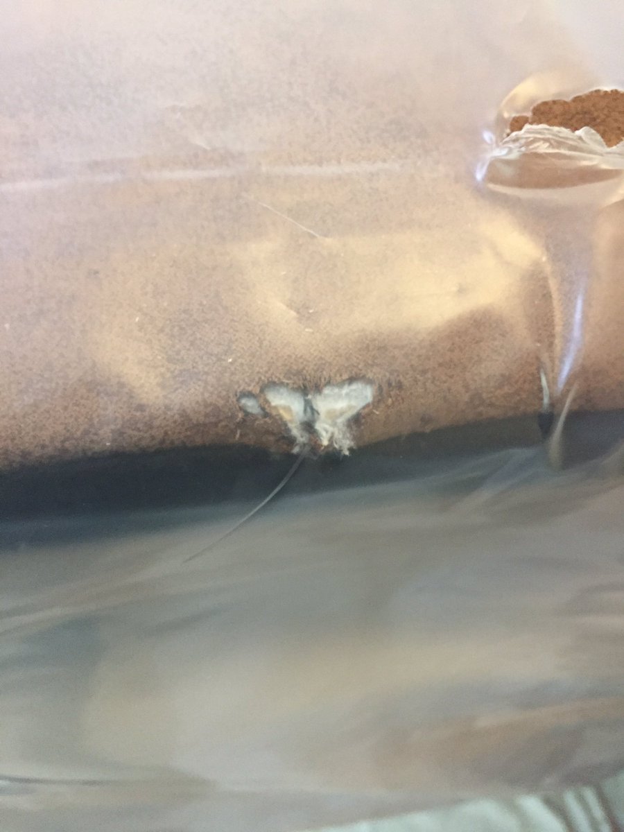 When your brand new sofa arrives and looks like this... 😡<a href="/DFS/">DFS</a> #unacceptable #poorservice #nodeliverycourteseycall #dumped #disaster