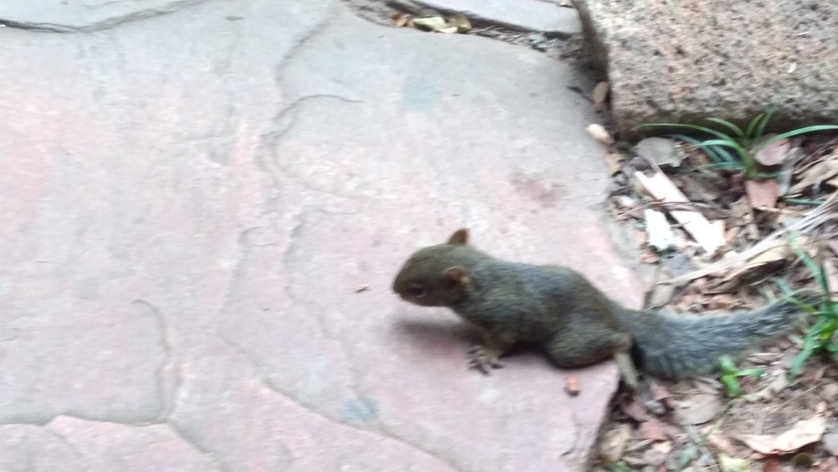 Cariule Nascimento (@cariulenascimen) on Twitter photo 