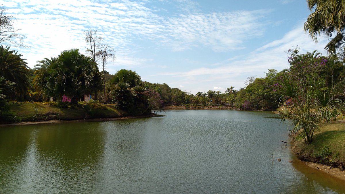 Cariule Nascimento (@cariulenascimen) on Twitter photo 