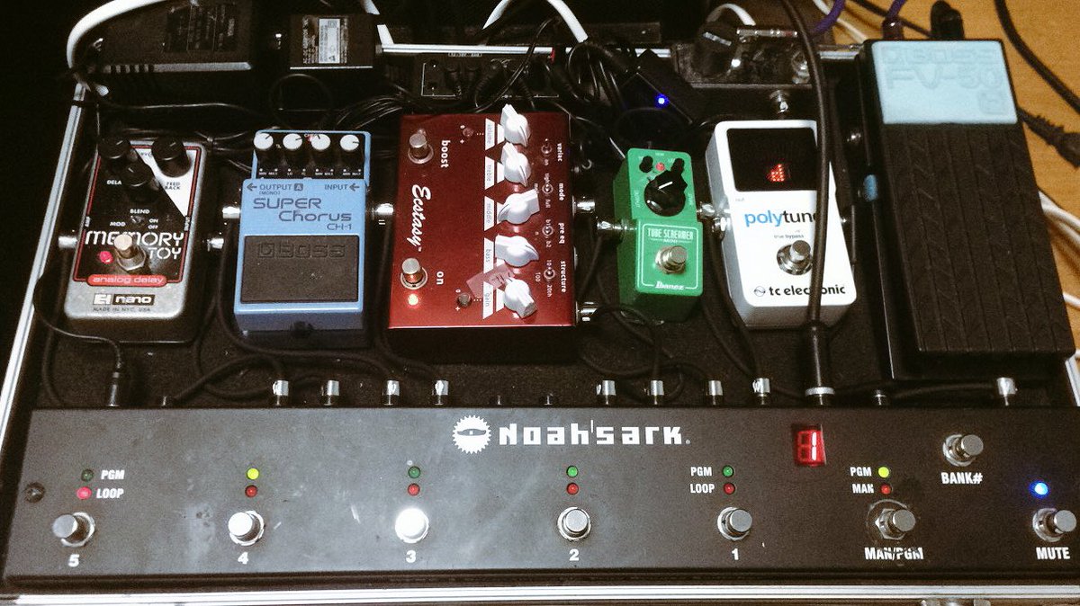 エフェクターボード #boss #polytune #ibanez #bogner #ecstasy #memorytoy