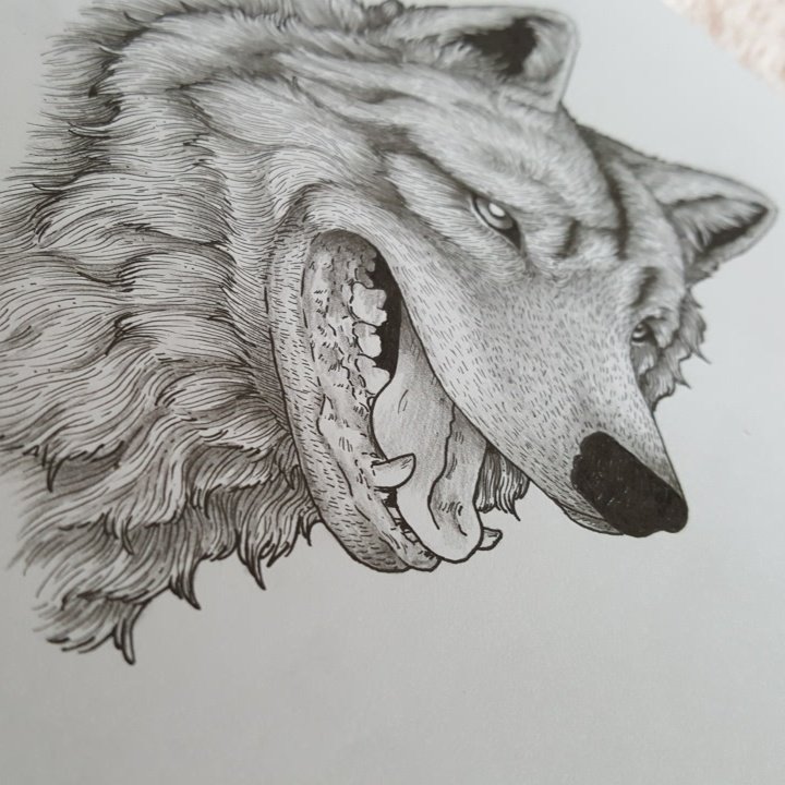 PearlOfThunder's tweet photo. Im so happy with this illustration i did of Ghost from #gameofthrones #illustration https://t.co/t8l5CuJkbU