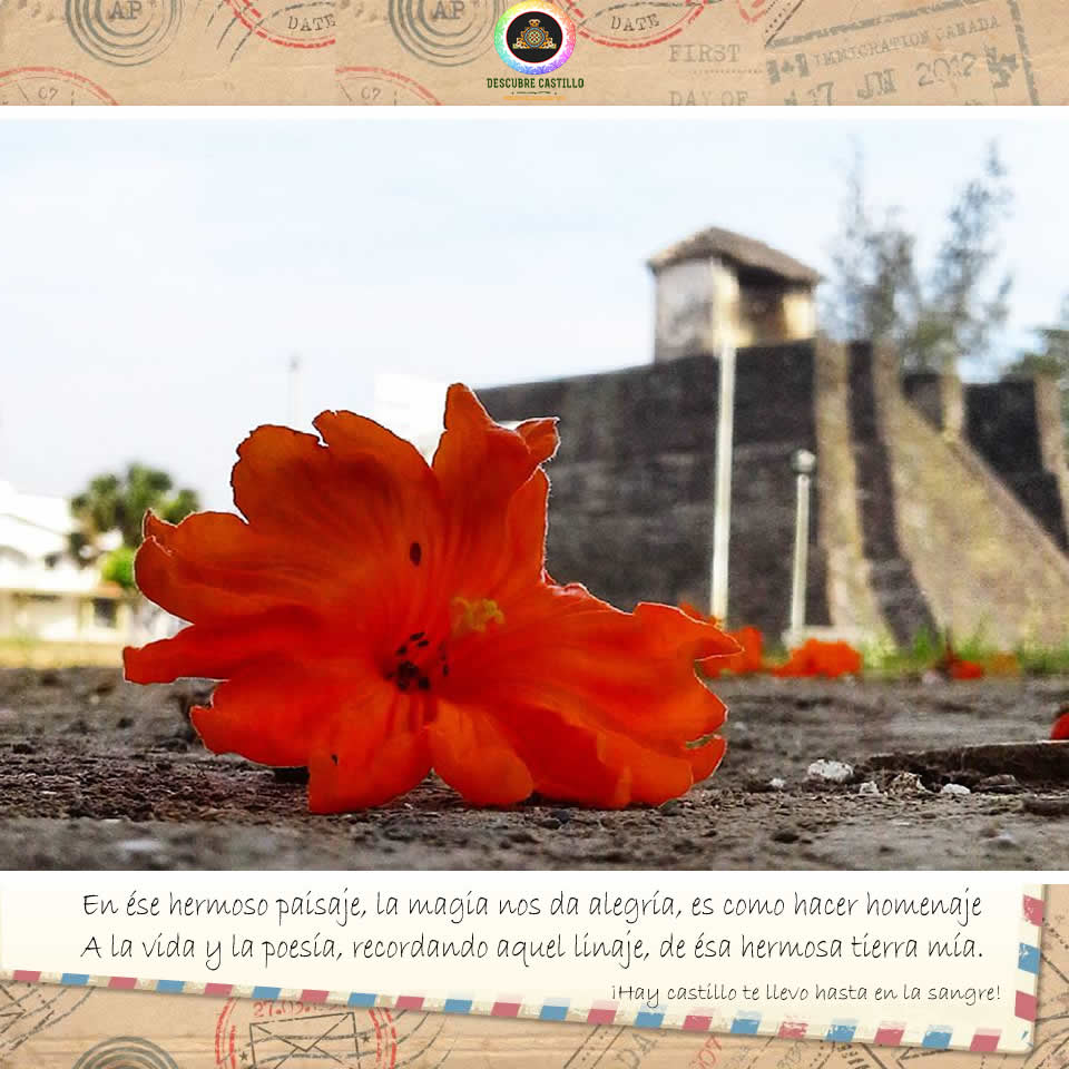 castillodteayo's tweet photo. Teayok es un Pueblo Mexicano del Estado de Veracruz #CastilloDeTeayo #DescubreCastillo #ViveCastillo #HuastecaVeracruzana #Veracruz. https://t.co/z7exPEGxsg