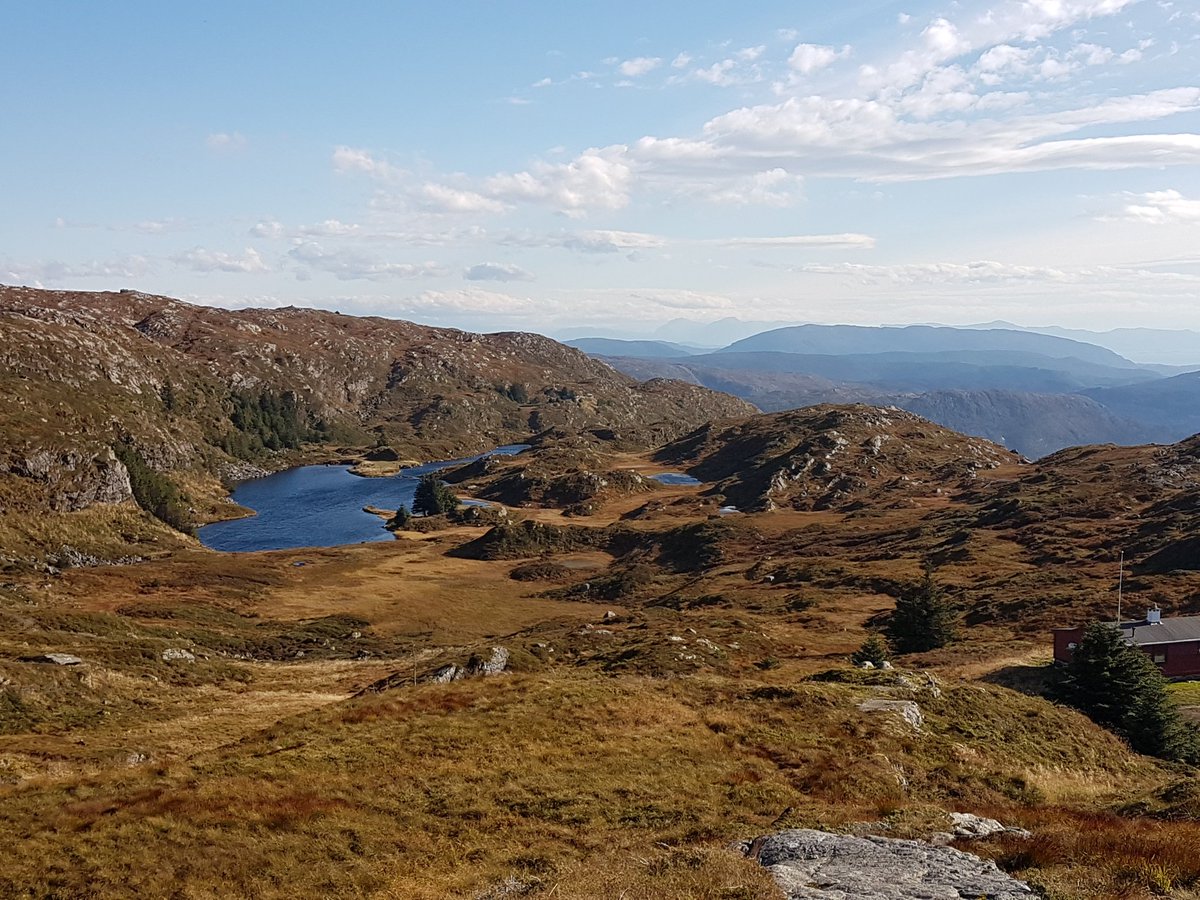 Today we went to Ulriken with our students and we Had a great day outdoors. #Rothaugen @terjepe <a href="/LinnKibs/">LinnKibGodfrey</a>