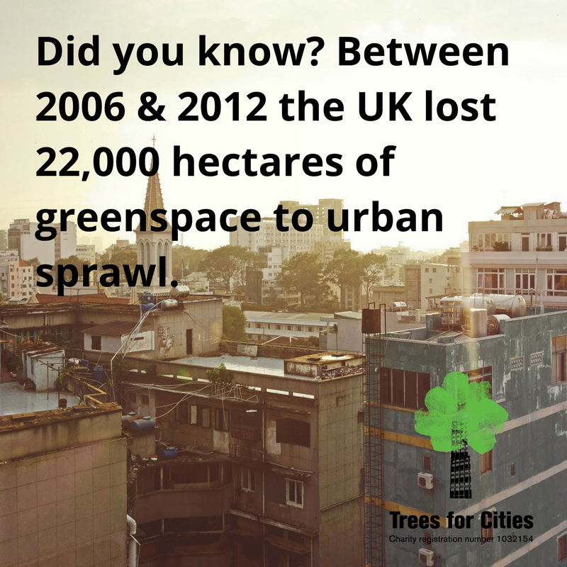 Trees for Cities tweet media