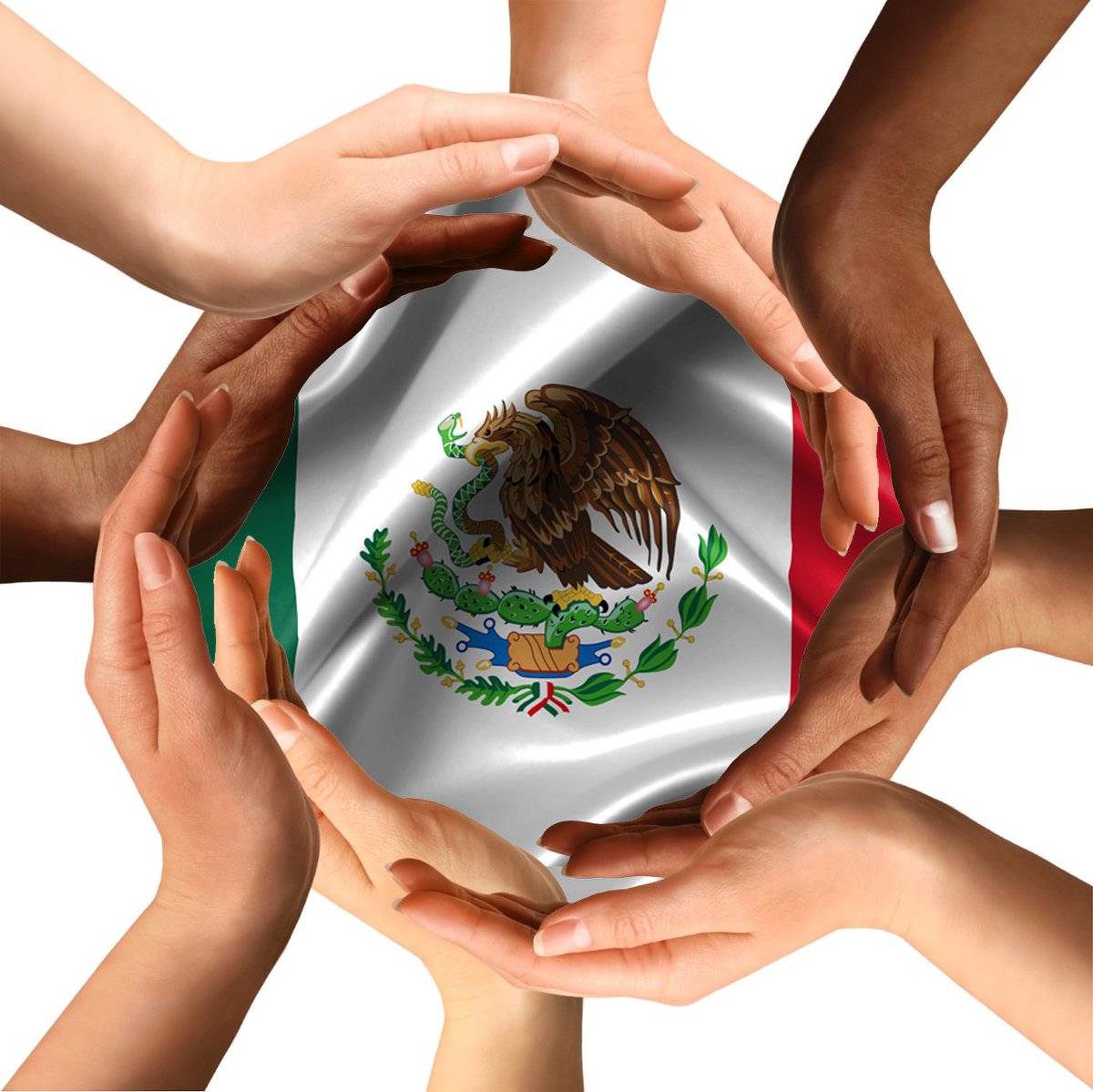 AlexisGyrosMx's tweet photo. Necesitamos proteína para comidas y cenas: pollo, carne molida, atún o pescado. Sigamos apoyando  Manzanillo 122, Col. Roma. @GobCDMX @mx_df https://t.co/Ijp5UgJwZR