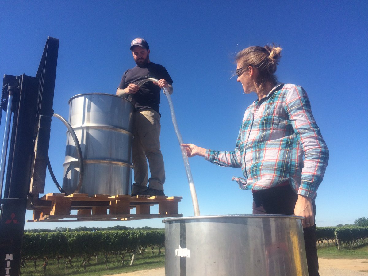 Siphoning off the Sauvignon Blanc after chilling it down.  Thx Tom!