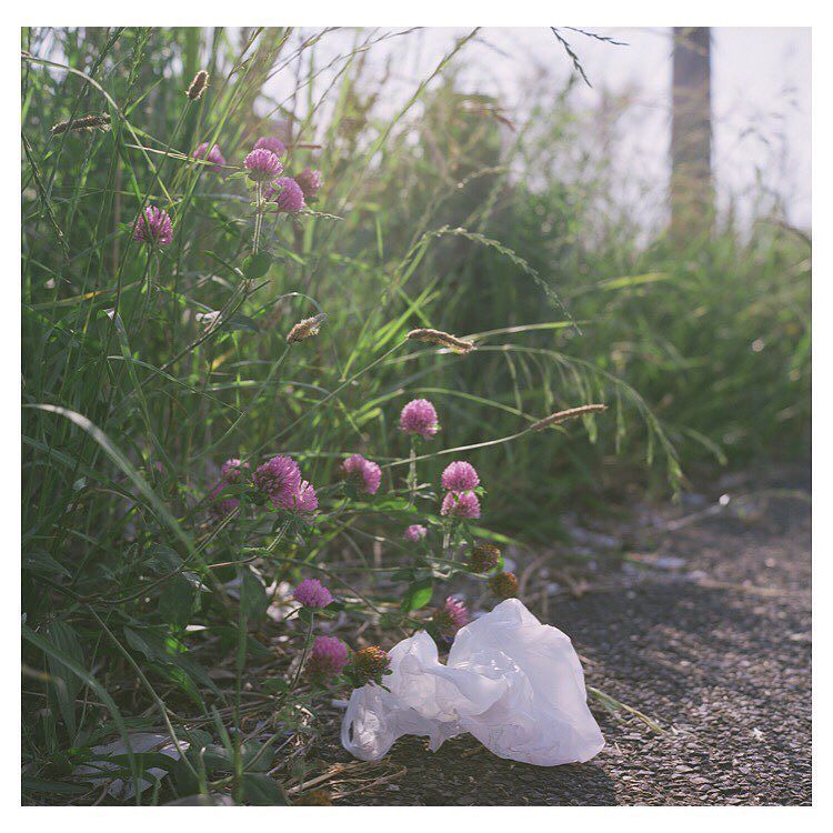 HisaFoto's tweet photo. 「#徒然ウォークアラウンド」
.
.
.
#rolleiflex #rolleiflex28d #ローライフレックス #carlzeiss #yokohama #フィルム #reco_ig #hueart_life #pics_… https://t.co/Q4g1pKWJvO https://t.co/l1f42cIJpL