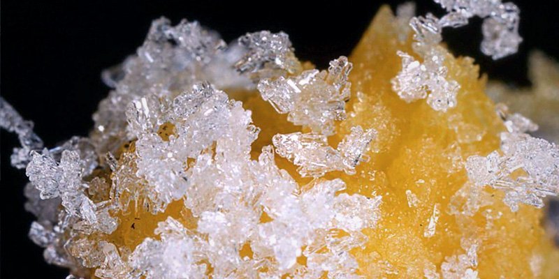 cbdwarehousecom's tweet photo. CBD Isolate Infused With Terpenes - The Next Big Thing In #Cannabis Extracts? https://t.co/WiXoP94dEM https://t.co/W2i4pzozDQ