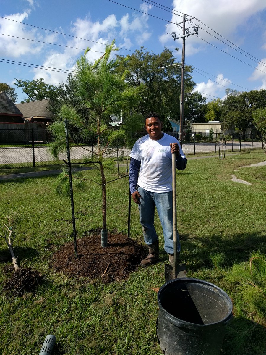 Mahassen_B's tweet image. Thank you, #treesforHouston for making our campus even more beautiful! @hisdaims