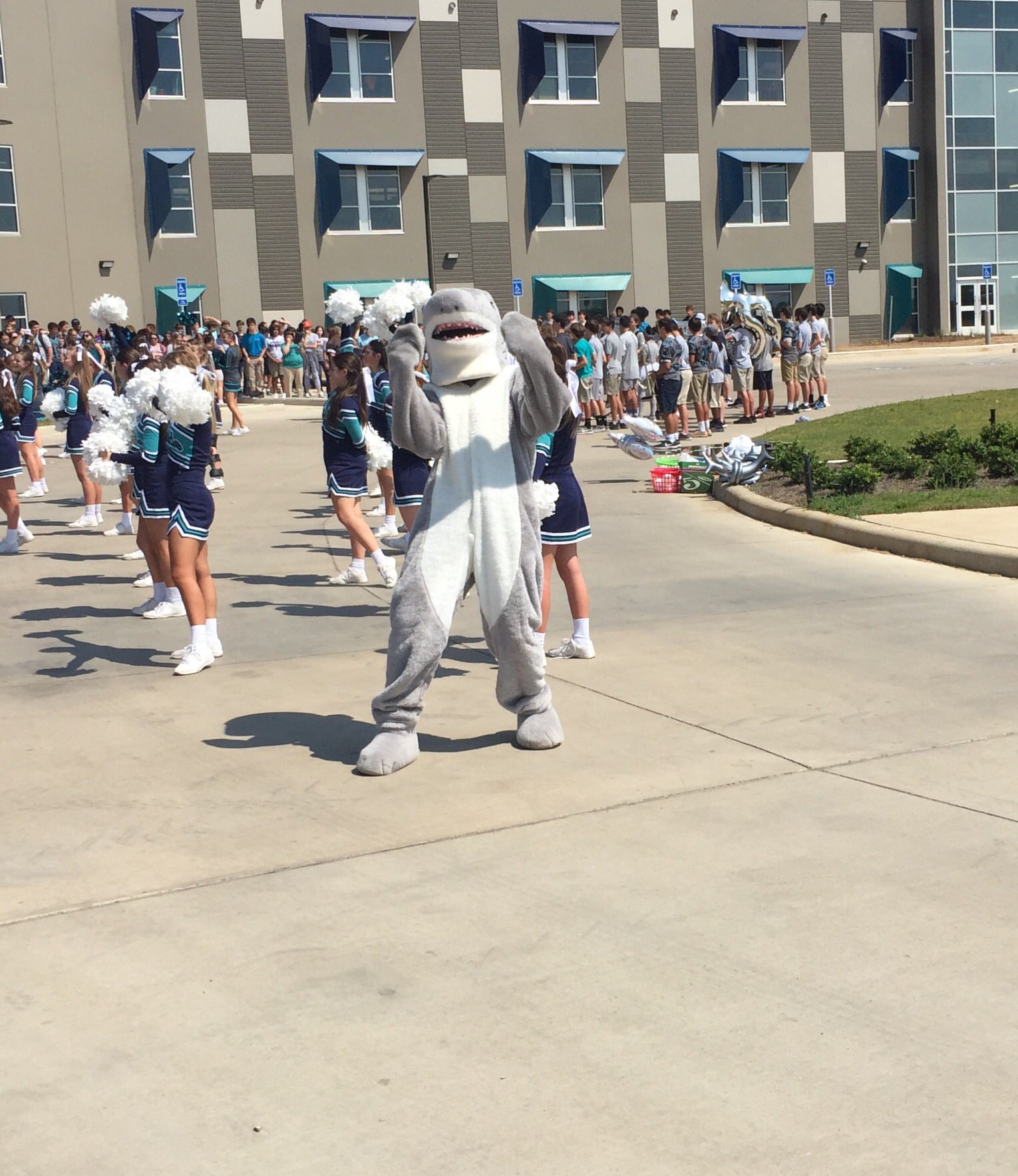 Southside High School Football on Twitter "Shark Week pep rally…